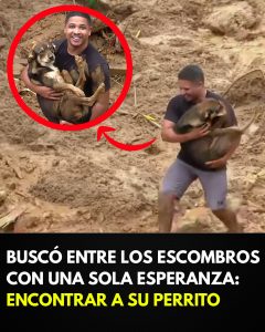 Carlos Menezes vio cómo su casa desaparecía entre el barro y los escombros