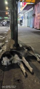 Está sobre Ermita dirección cerro de la estrella, antes de llegar a la calle camino cerro de la estrella, por las tres cruces