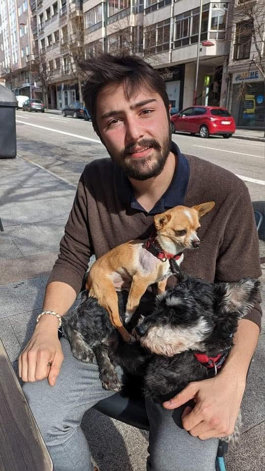 El “dueño” de éste pequeño chihuahua, le tiró a la basura porque el veterinario le cobraba 700 euros