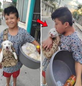 En Yucatán, México, un pequeño llamado Lalo se ha ganado el corazón de todos.