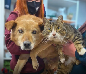 En medio del invierno canadiense, con temperaturas bajo cero, dos amigos de ocho años fueron dejados a la intemperie