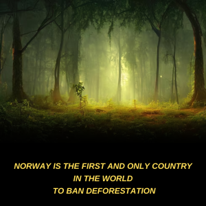Norway and the Global Fight Against Deforestation: A Pioneering Environmental Commitment