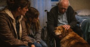 Llegué tarde a Navidad por mi perro, y un desconocido se fue acompañado